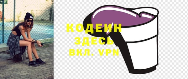 ГАЛЛЮЦИНОГЕННЫЕ ГРИБЫ Ельня