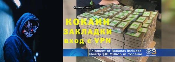 ГАЛЛЮЦИНОГЕННЫЕ ГРИБЫ Ельня