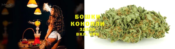 ГАЛЛЮЦИНОГЕННЫЕ ГРИБЫ Ельня