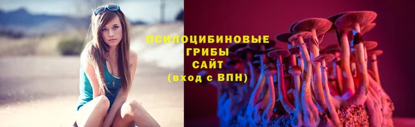 apvp Елабуга