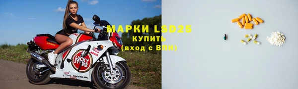 ГАЛЛЮЦИНОГЕННЫЕ ГРИБЫ Ельня