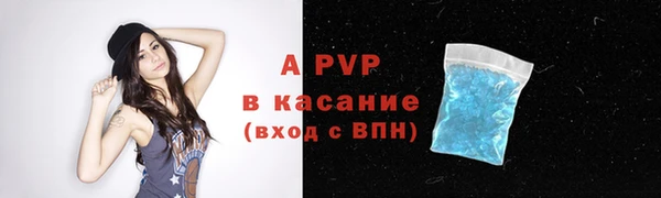 ГАЛЛЮЦИНОГЕННЫЕ ГРИБЫ Ельня