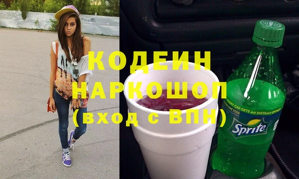 ГАЛЛЮЦИНОГЕННЫЕ ГРИБЫ Ельня