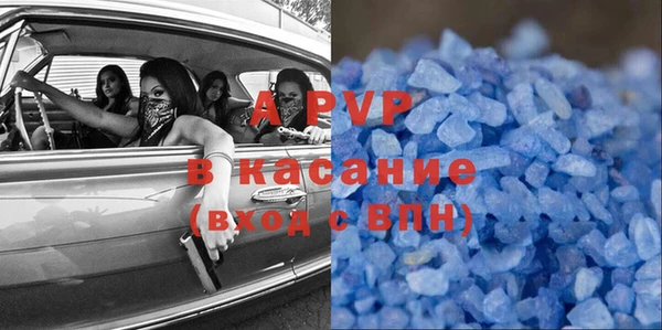 ГАЛЛЮЦИНОГЕННЫЕ ГРИБЫ Ельня