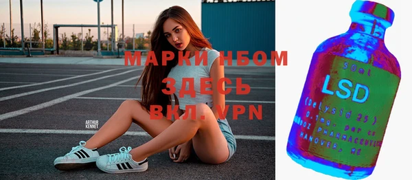 ГАЛЛЮЦИНОГЕННЫЕ ГРИБЫ Ельня