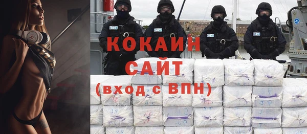 ГАЛЛЮЦИНОГЕННЫЕ ГРИБЫ Ельня