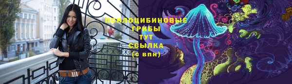 apvp Елабуга