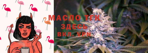 ГАЛЛЮЦИНОГЕННЫЕ ГРИБЫ Ельня